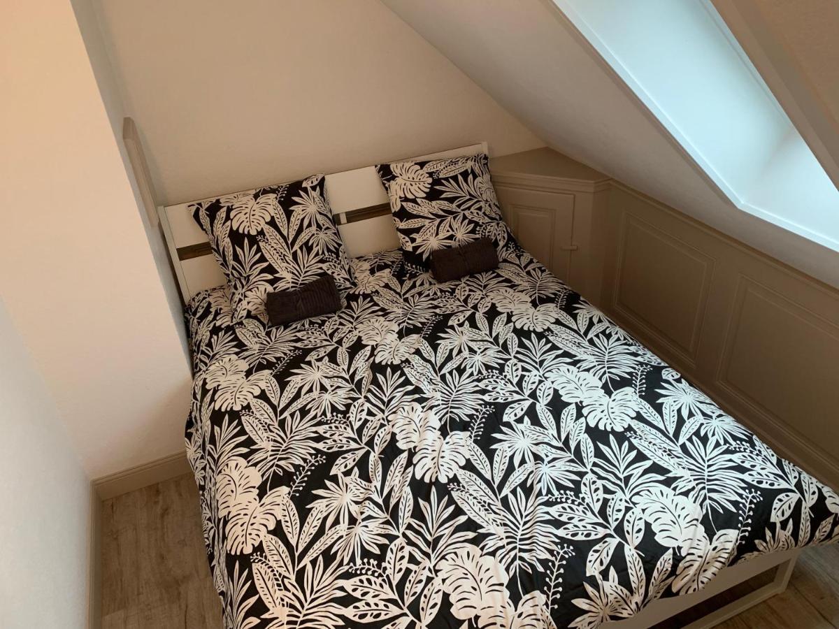 Historical Town Center Spacious Flat Colmar Eksteriør bilde