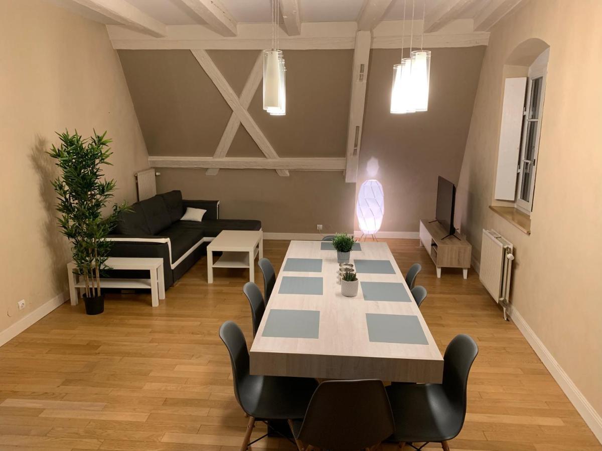 Historical Town Center Spacious Flat Colmar Eksteriør bilde